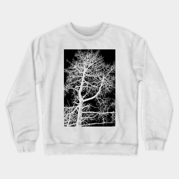 aspen skeleton Crewneck Sweatshirt by pholange